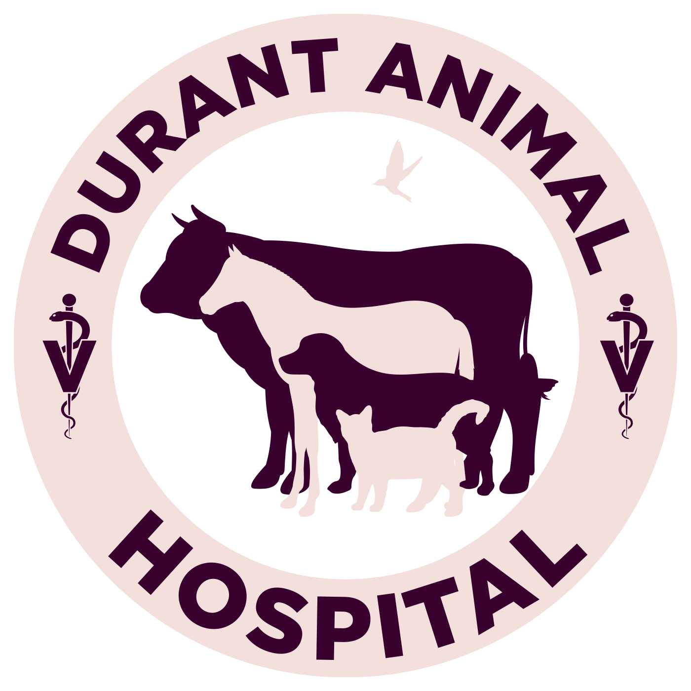 Oklahoma Archives American Veterinary Group