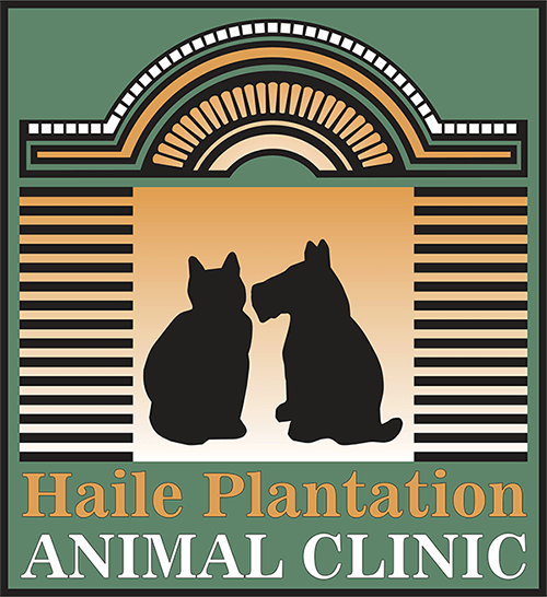 Haile Plantation Animal Clinic - American Veterinary Group