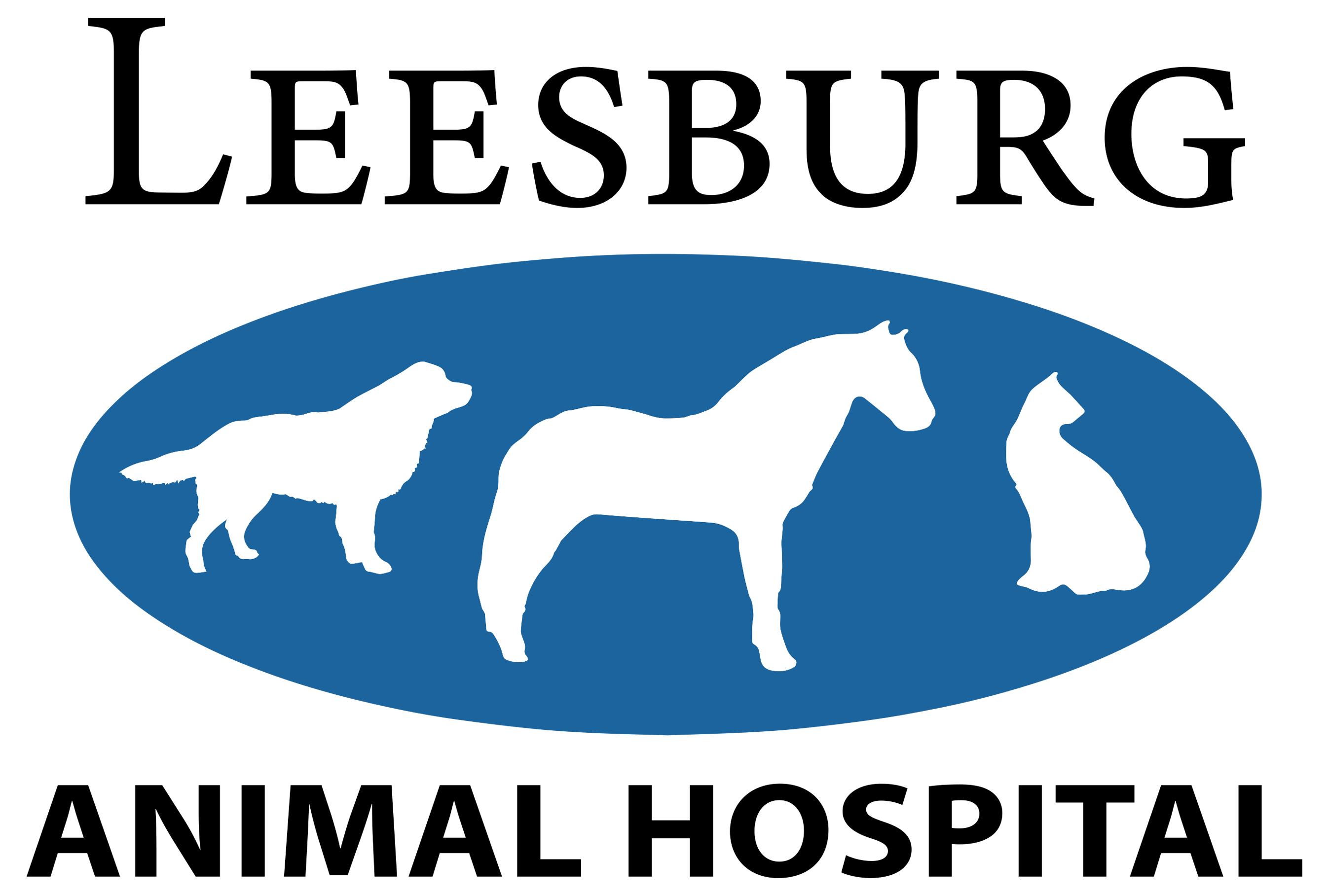 Leesburg Animal Hospital American Veterinary Group