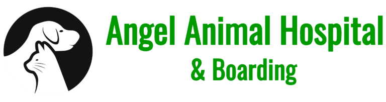 Angel Animal Hospital Logo 768x0 c default