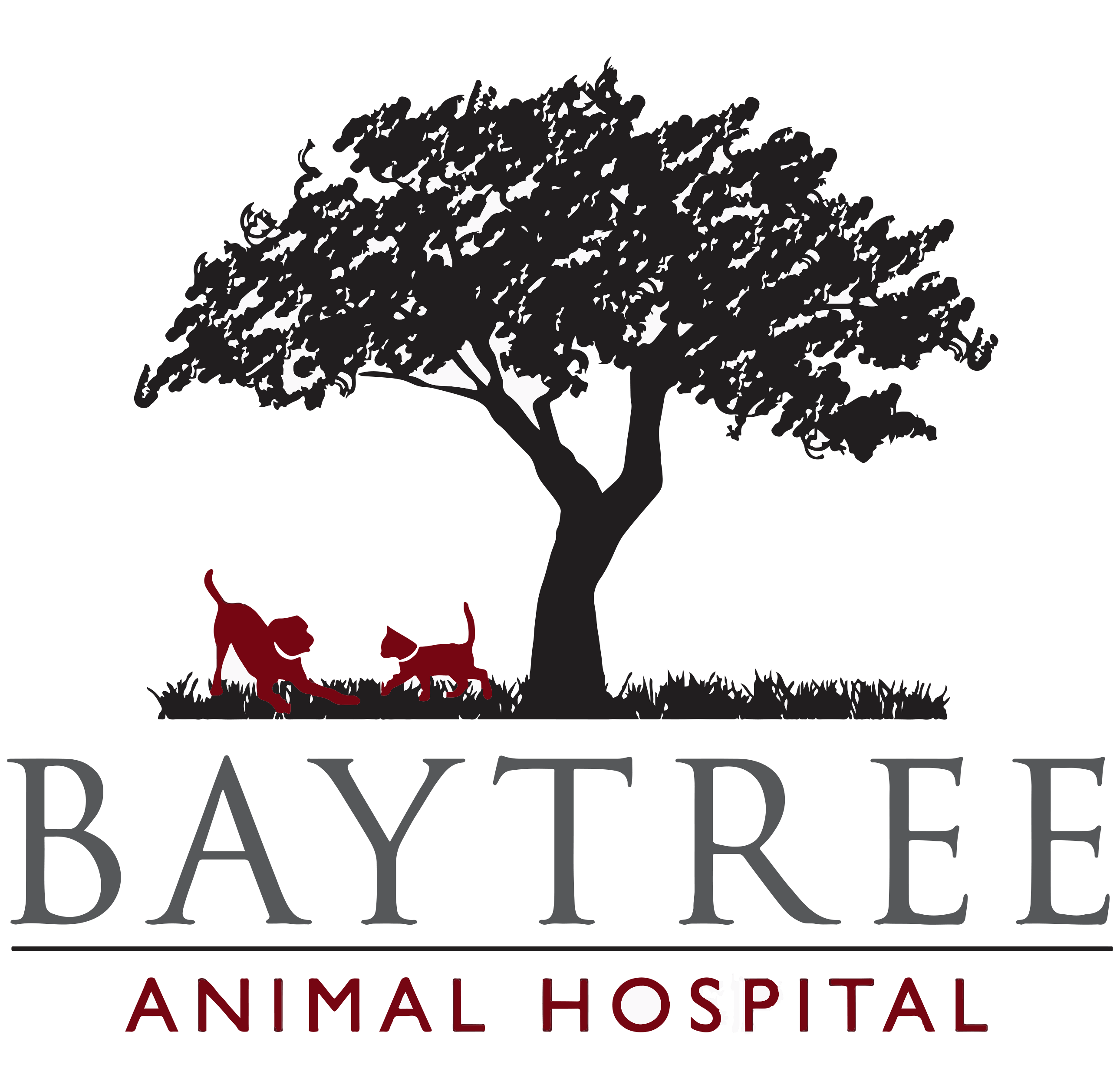 Baytree Animal Hospital American Veterinary Group
